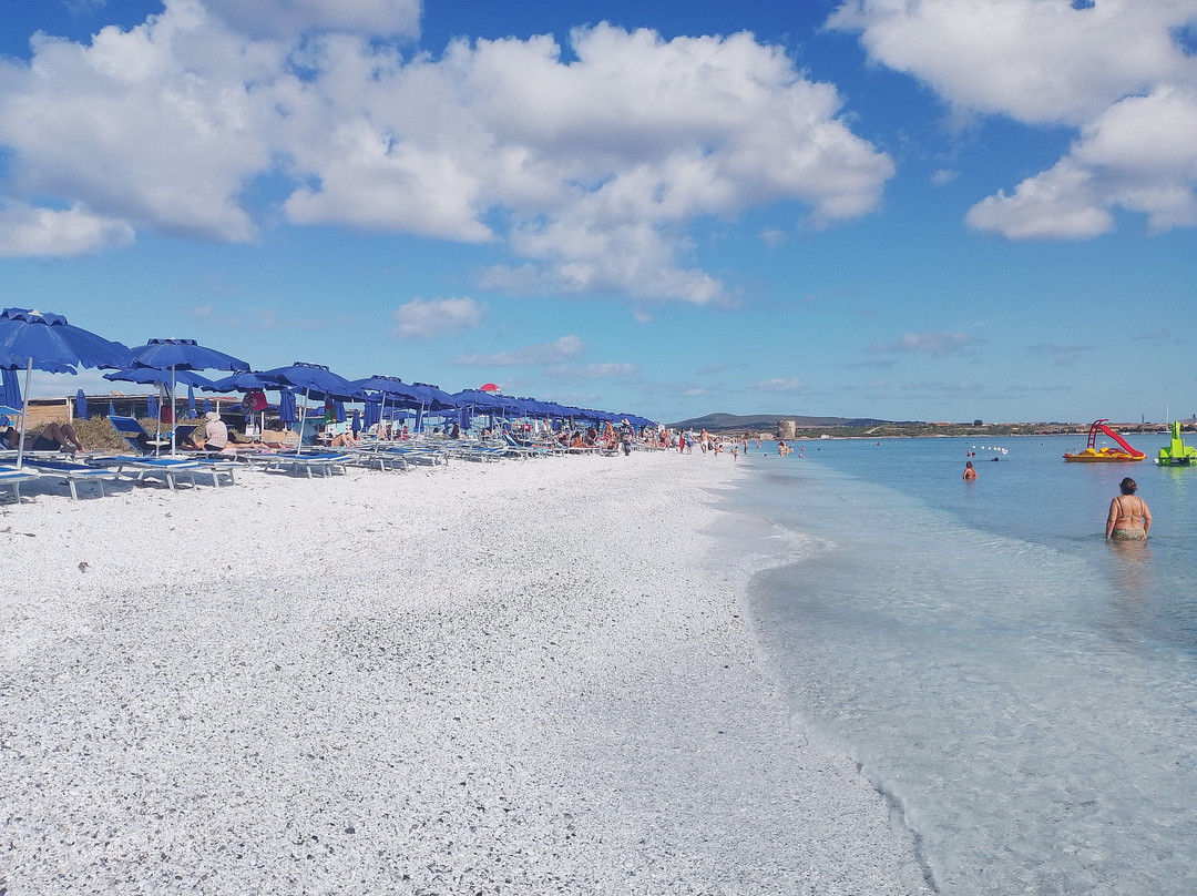 Kitezone Le Saline - Windsurfing Center Stintino-斯廷蒂诺必去景点