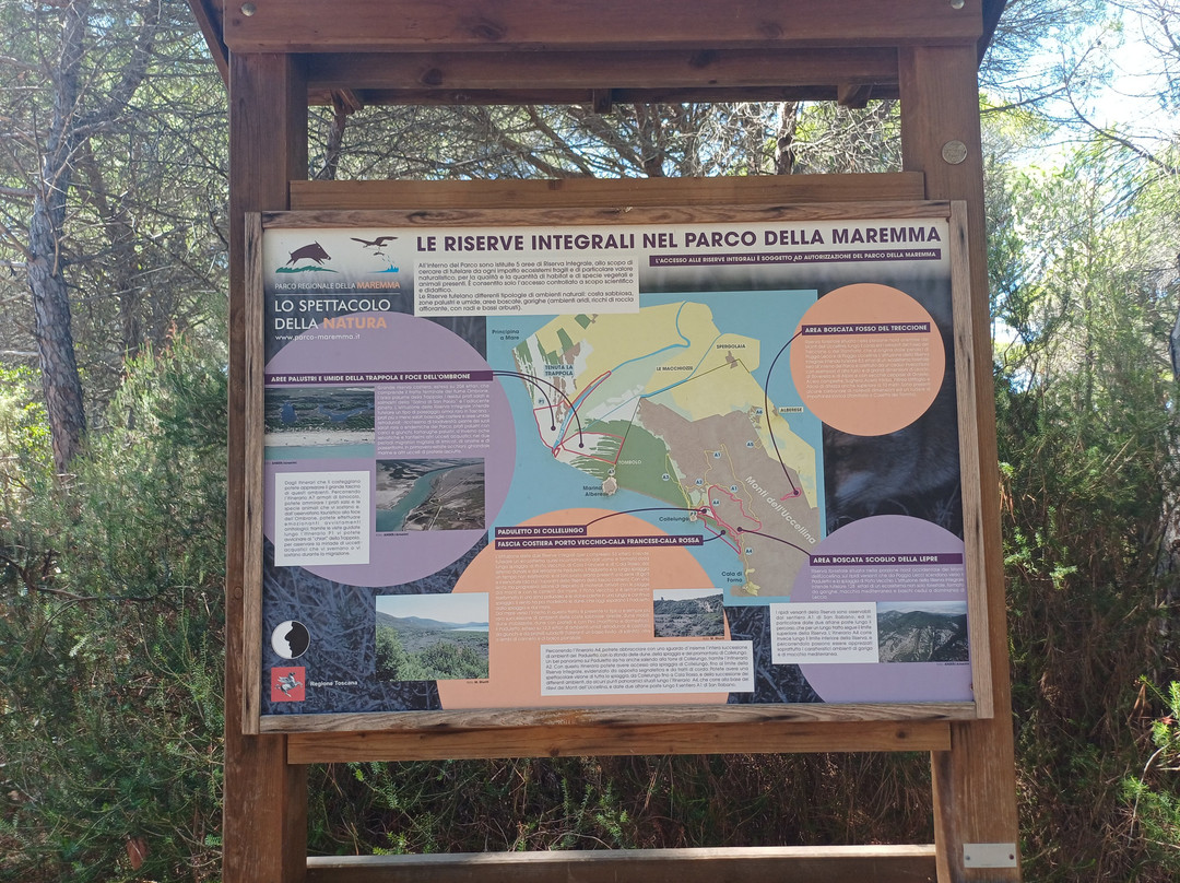 Parco Naturale della Maremma-Alberese必去景点