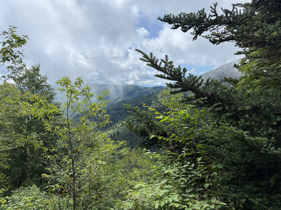 The Wildland Trekking-阿什维尔必去景点