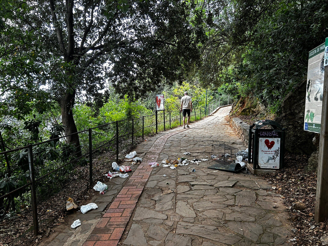Red Carpet Coastal Walk-拉帕洛必去景点