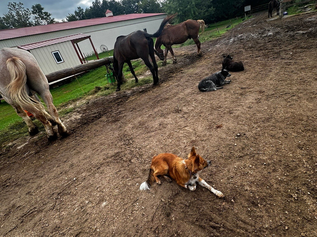 Red Ridge Riding Stable-Mauston必去景点