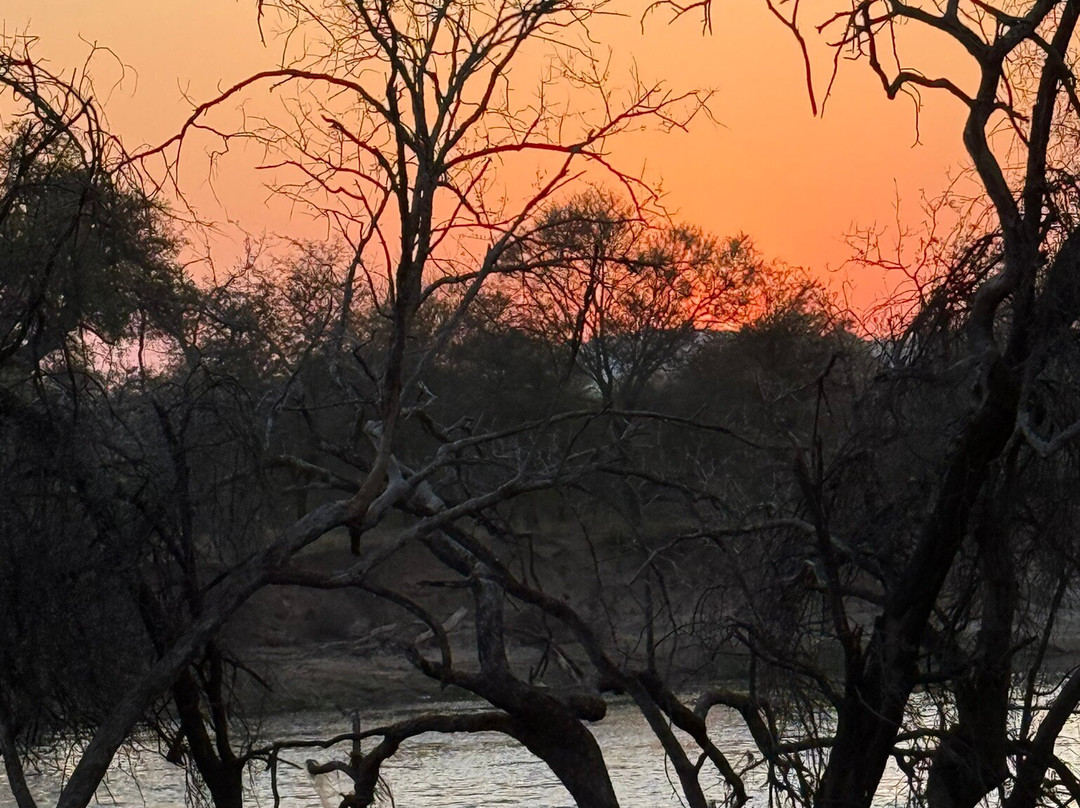 Klippan River Lodge主图