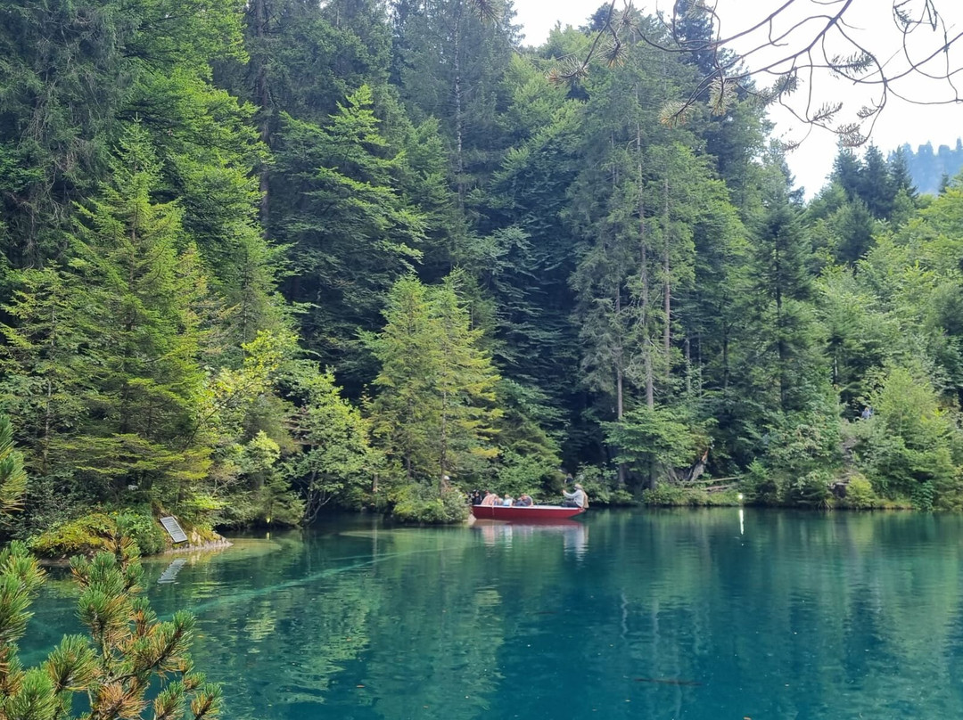 Pure Switzerland - Tours and Guiding-因特拉肯必去景点