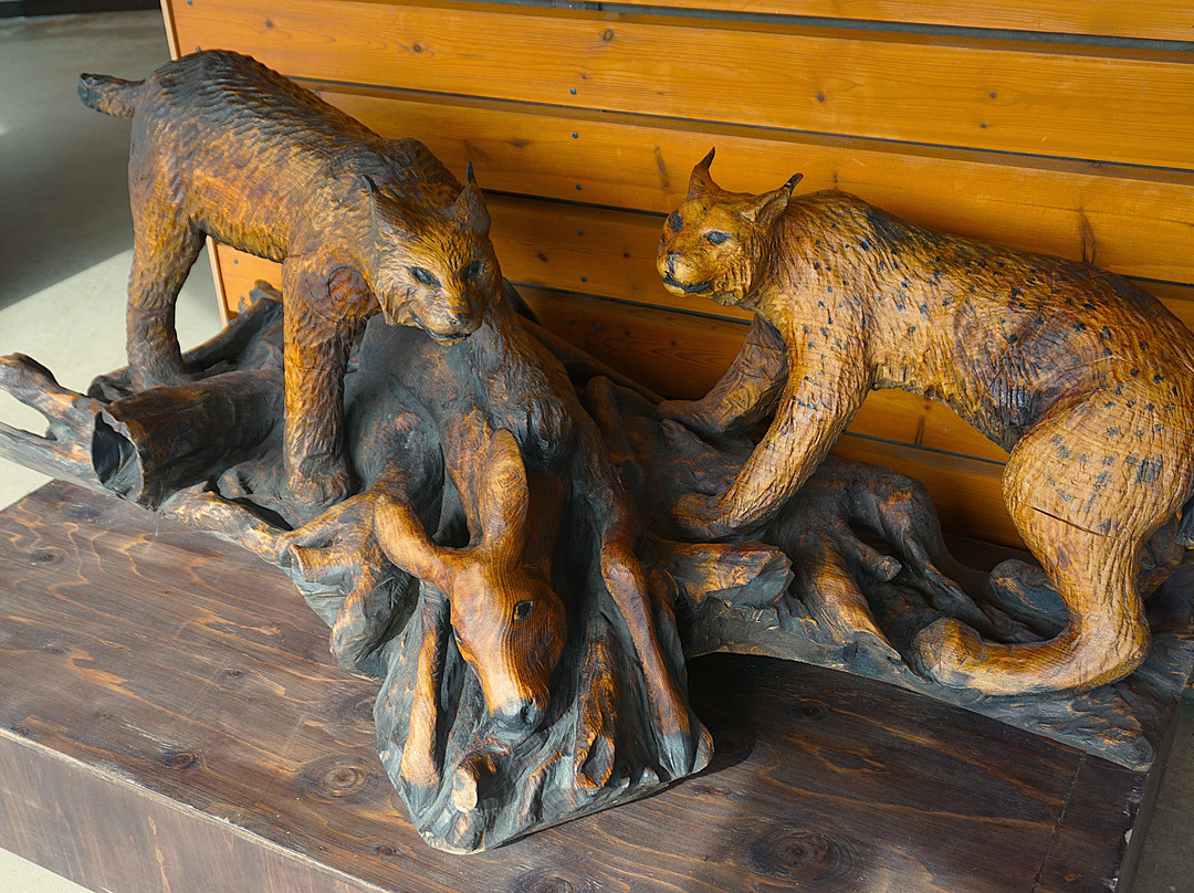 Finnish Forest Museum Lusto-Punkaharju必去景点