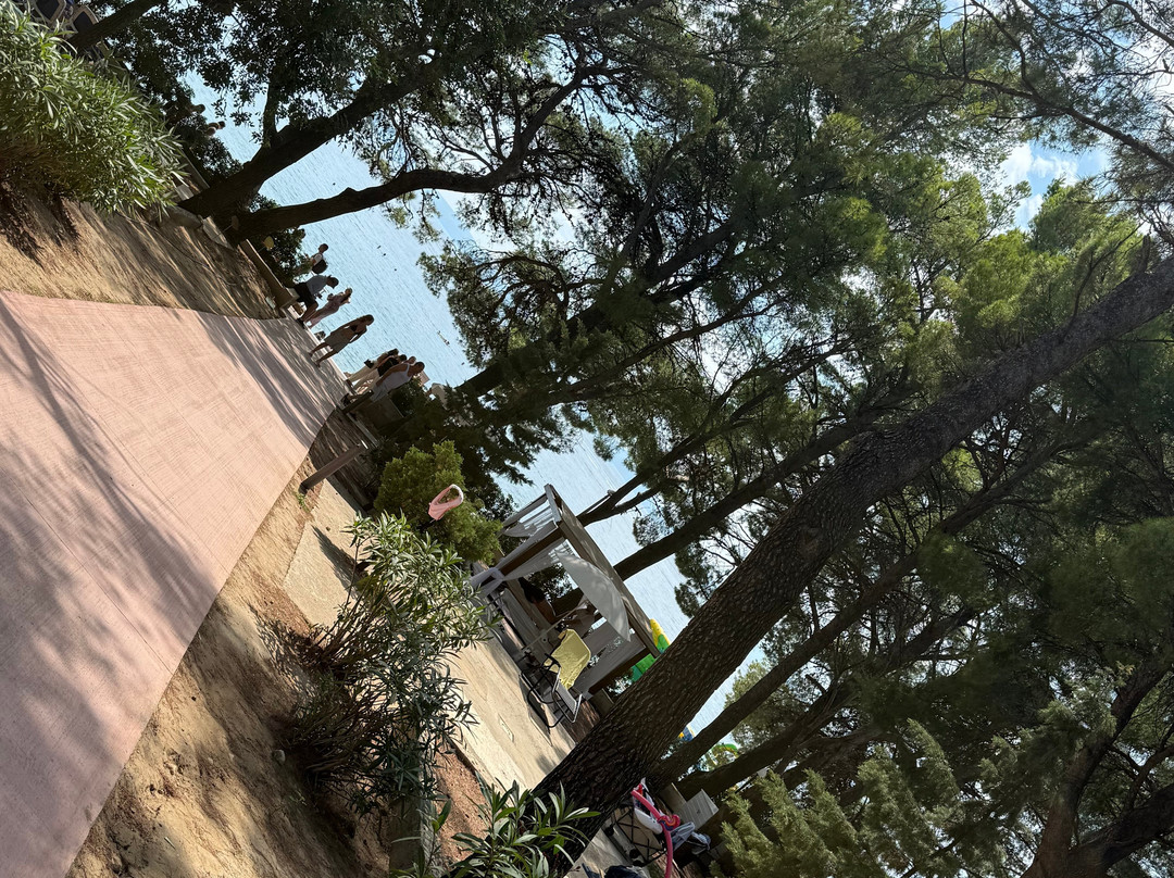 Sunny Makarska By Valamar主图