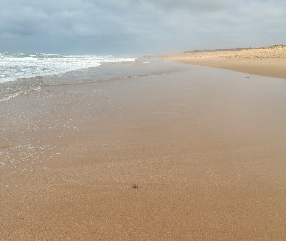 Playa Mangueta-Los Canos de Meca必去景点