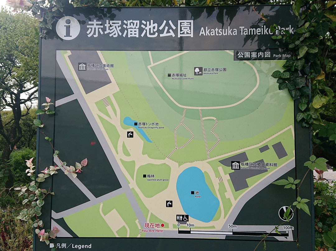 Akatsuka Tameike Park-板桥区必去景点