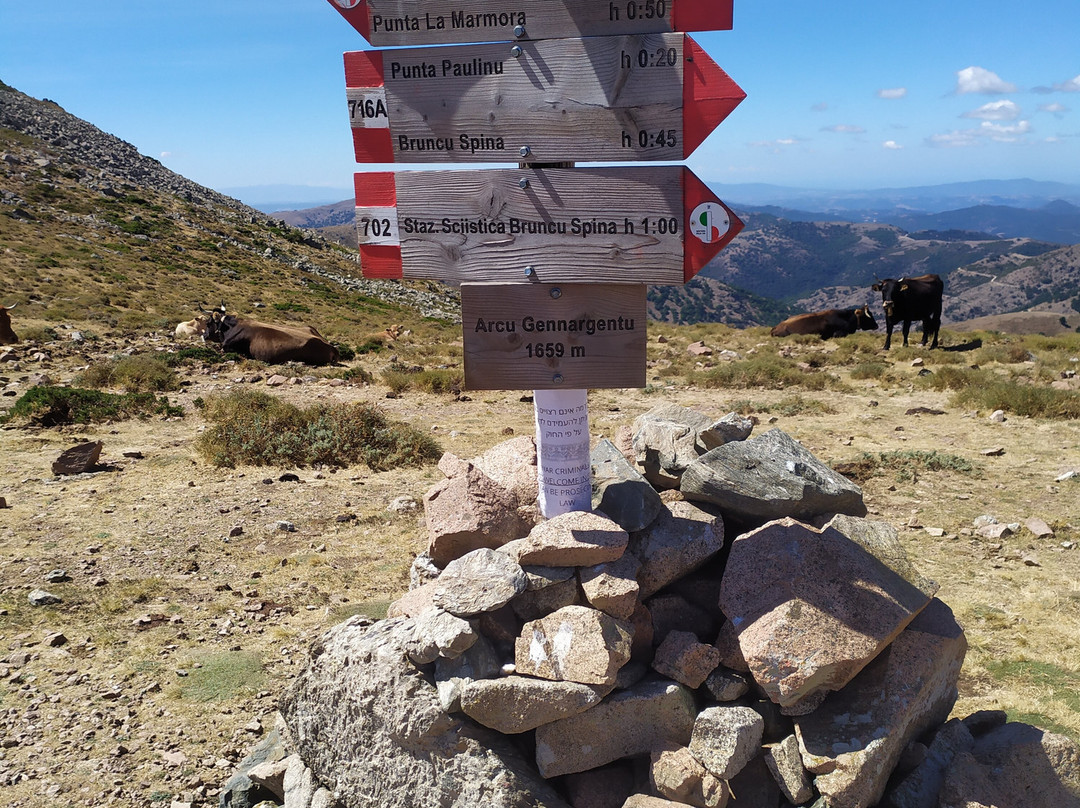 Punta La Marmora-Desulo必去景点