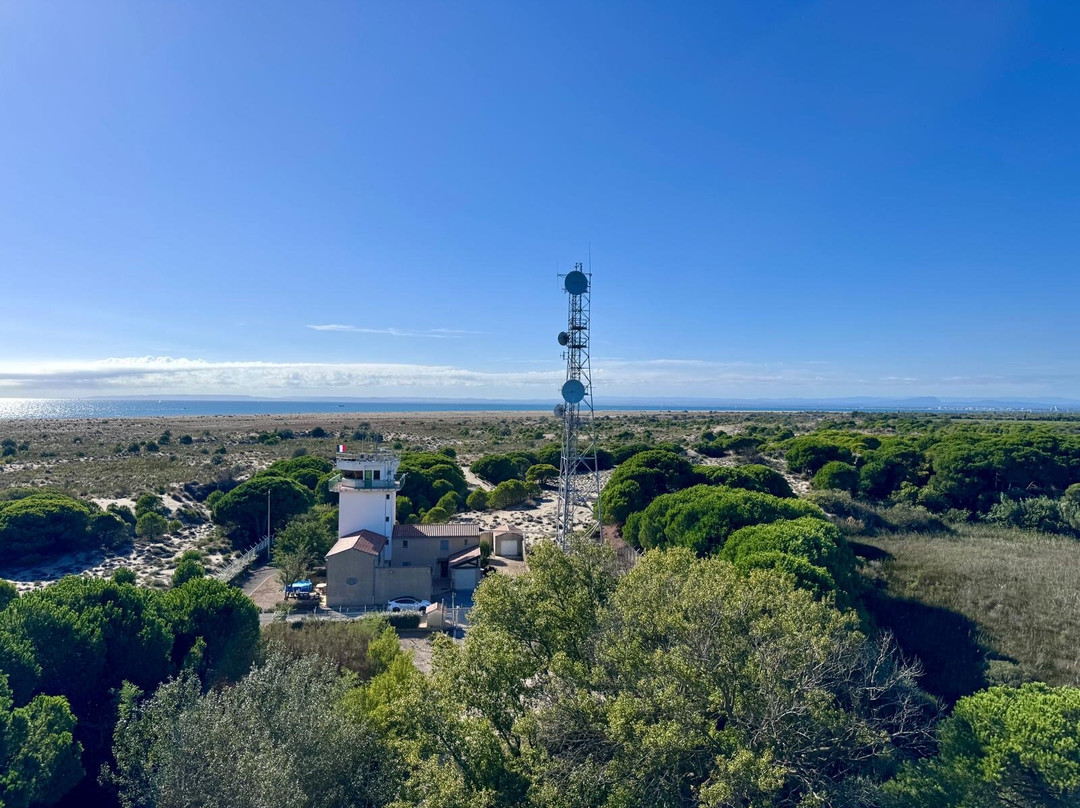 Phare de l'Espiguette-勒格罗迪鲁瓦必去景点