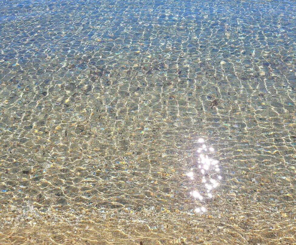 Plage des Salins-耶尔必去景点