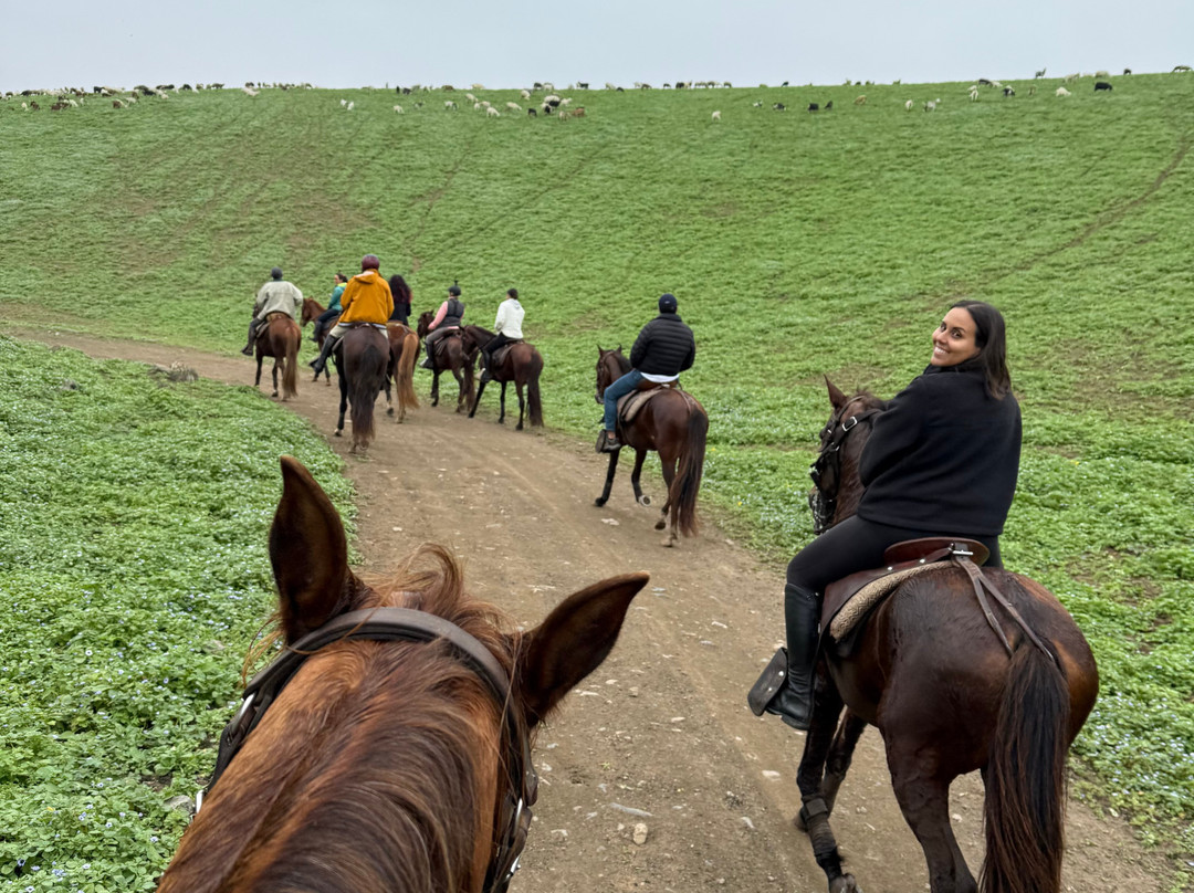 Cabalgatas-Santa Cruz de Flores必去景点