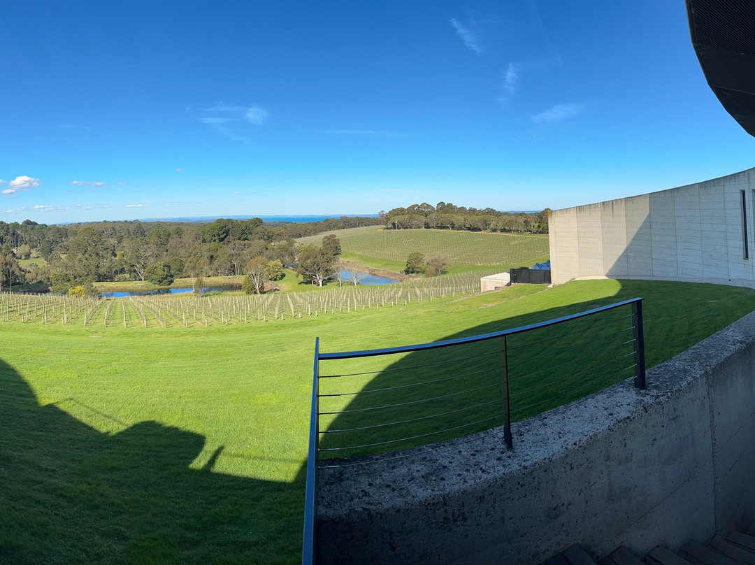 Amour of the Grape Tours-Rosebud必去景点