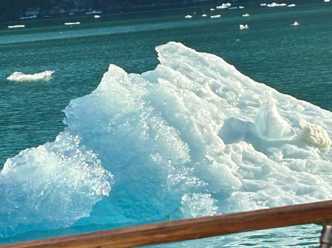 Northern Dream Alaska Yacht Charters-朱诺必去景点