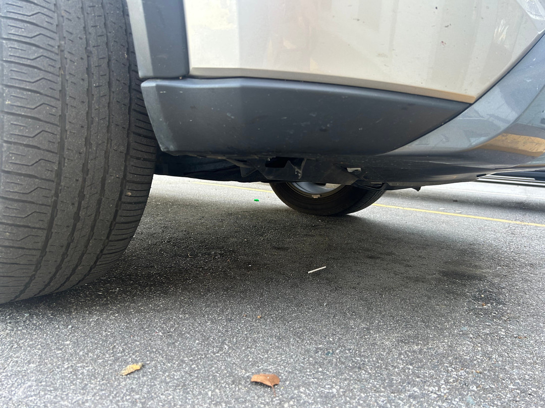 Quality Inn & Suites主图