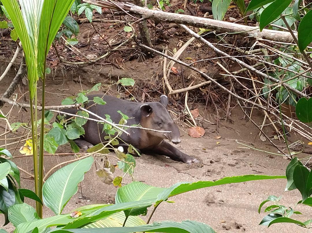 Uvita Information Center-乌维塔必去景点