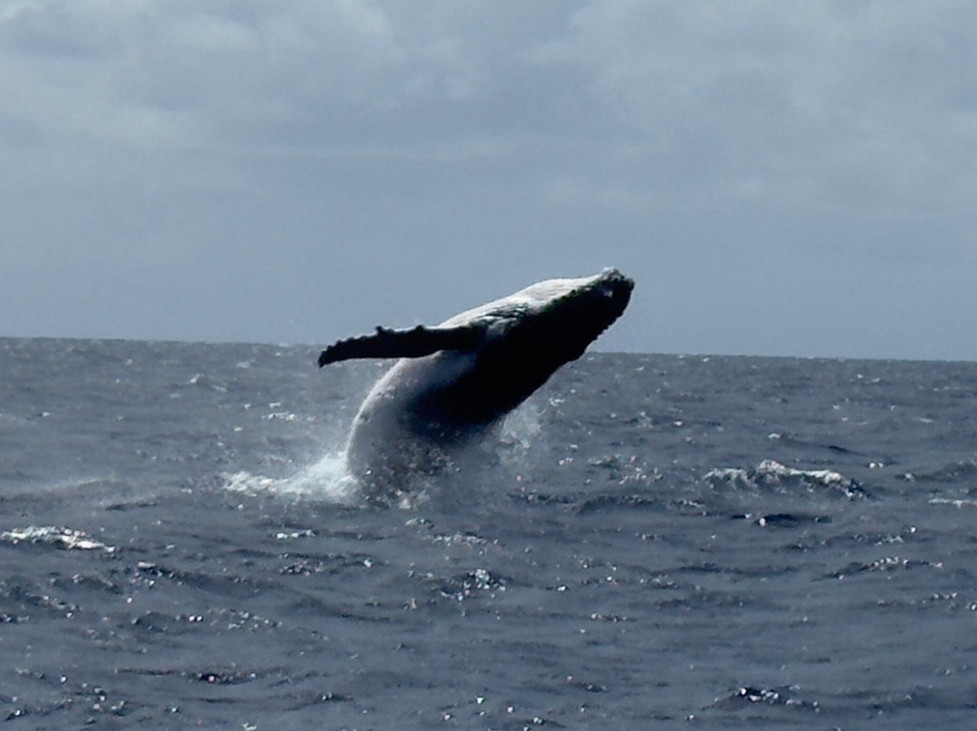 Magenta Oceans-Uoleva Island必去景点