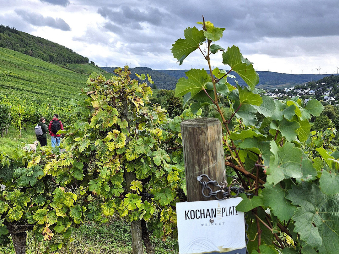 Weingut Kochan & Platz-Lieser必去景点