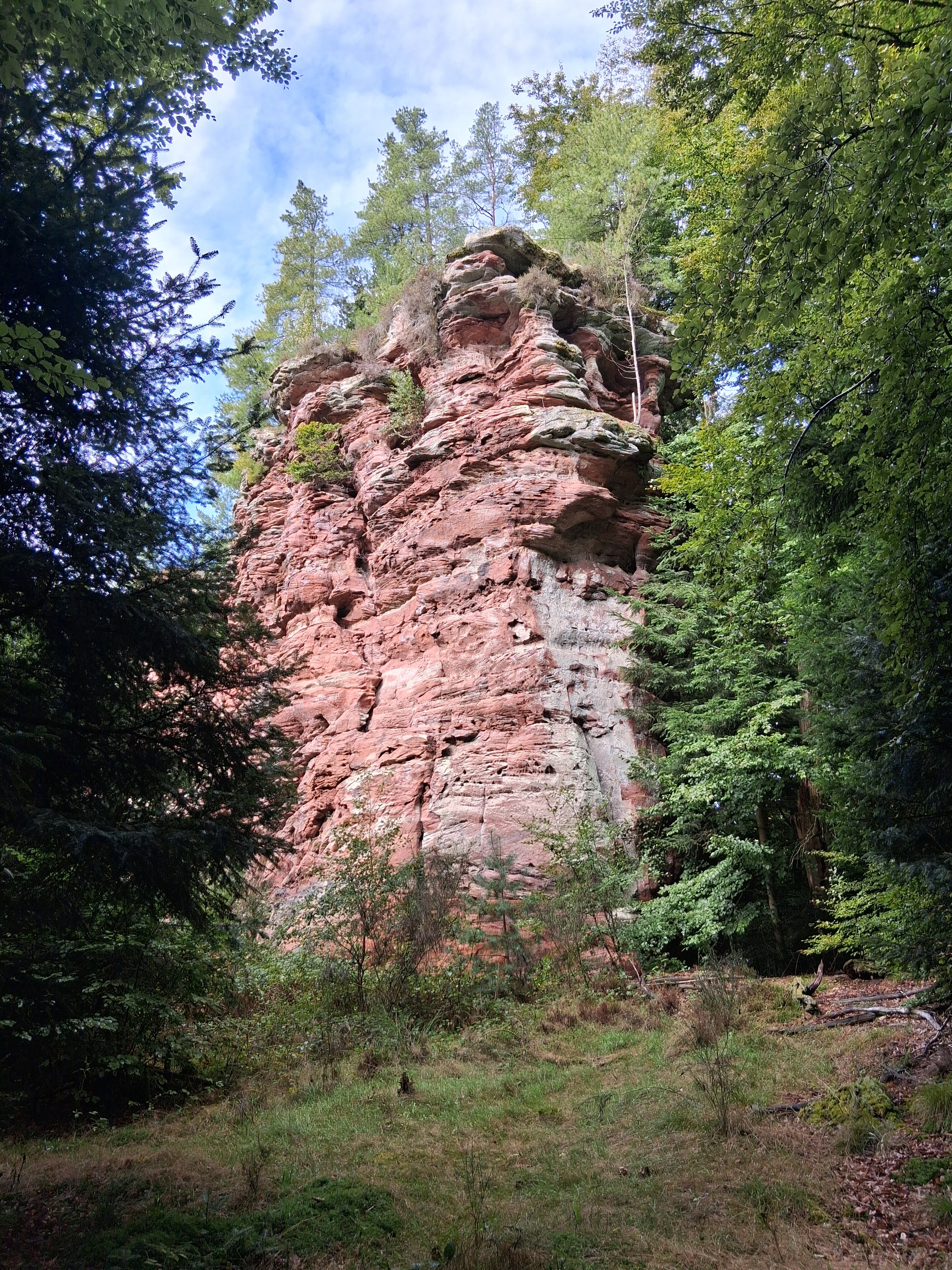 Alsace-Village-官方