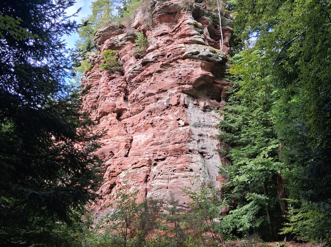 Alsace-Village主图