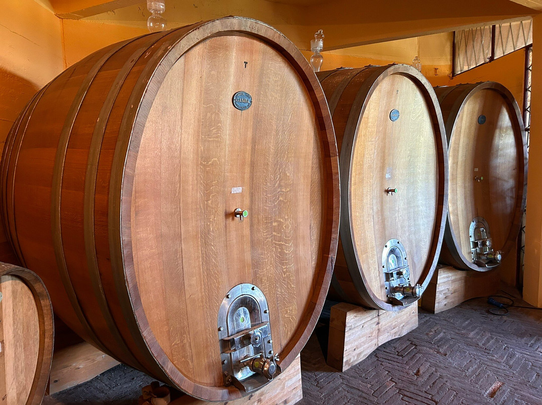 Buonamico Tenuta-Montecarlo必去景点