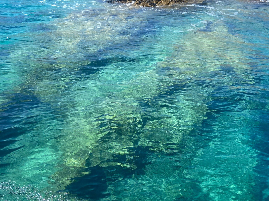 Gialitissa Boat Trips, Panermos-Panermos必去景点