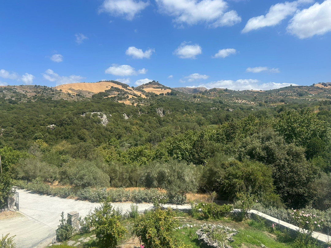 Kourkoulou Winery-雷斯蒙必去景点