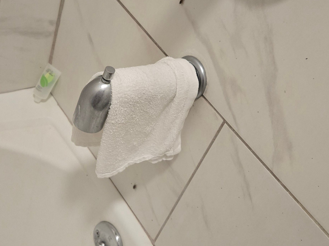 Ramada by Wyndham Harrisonburg主图