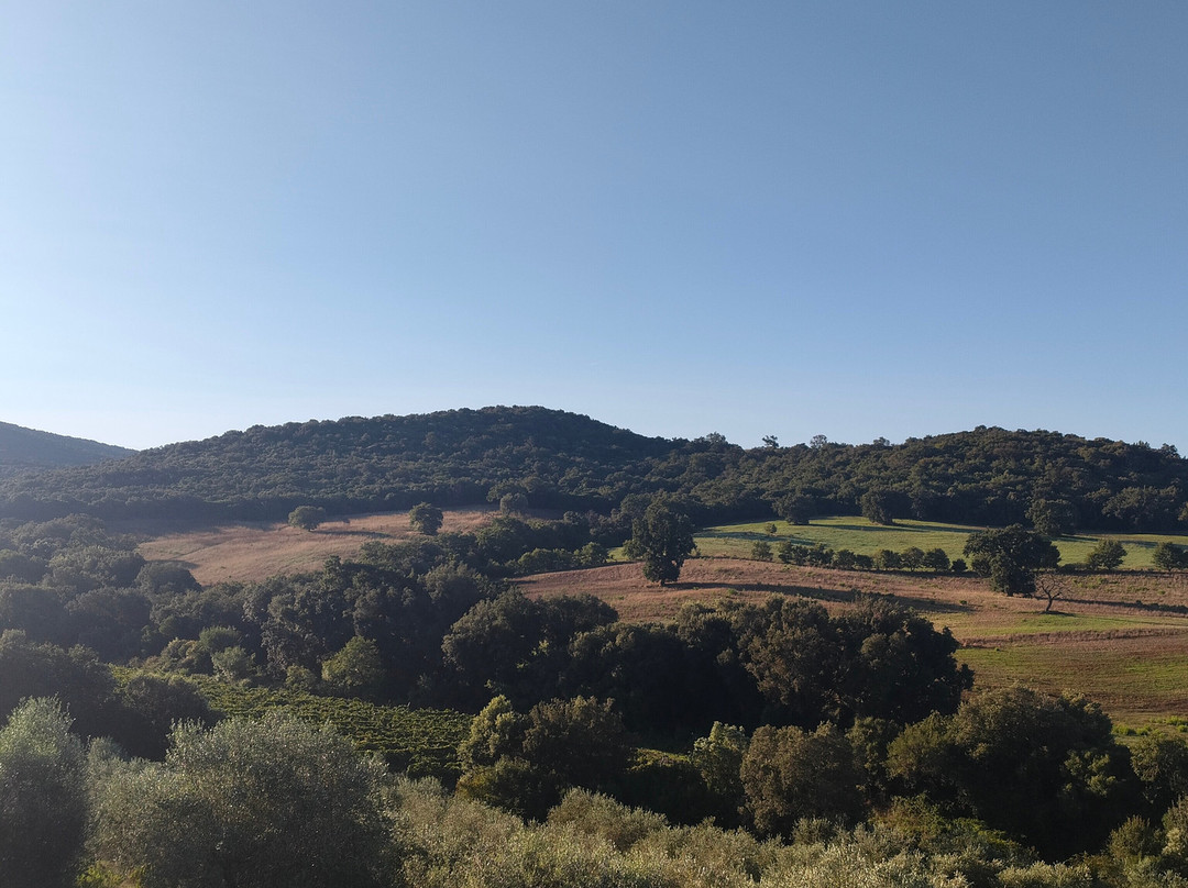 Agriturismo Lo Scalandrino主图