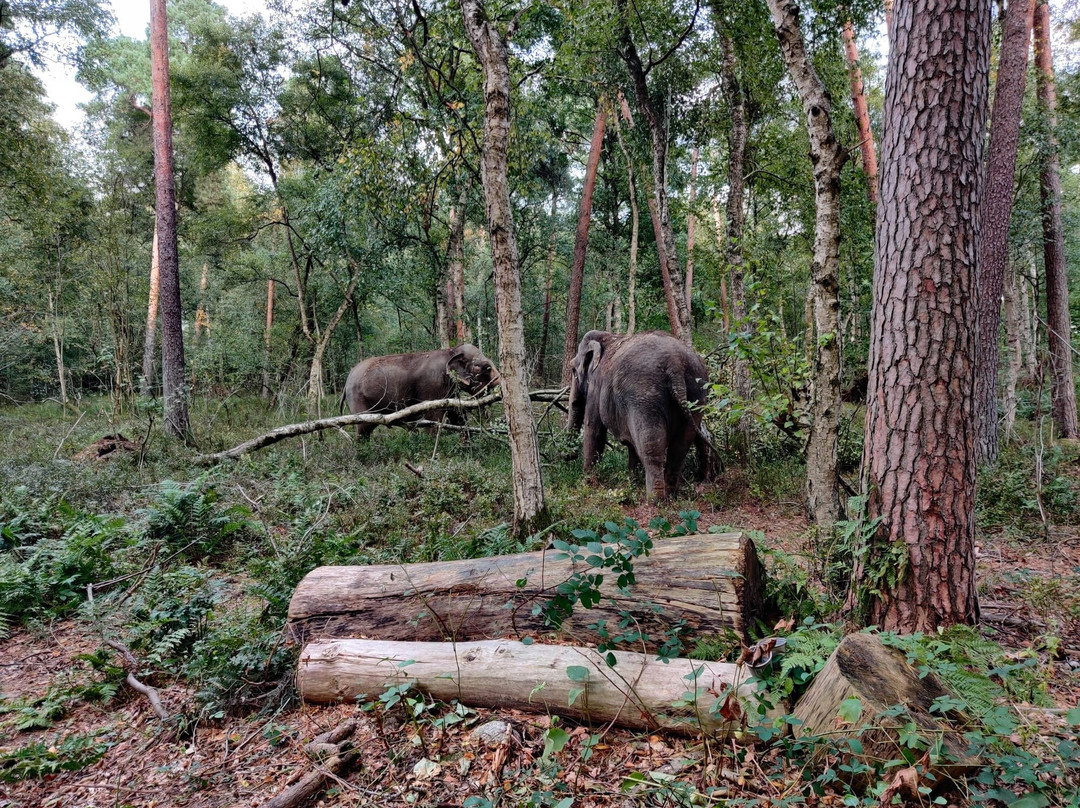 Tierpark Ströhen - Der Entdeckerzoo-Strohen必去景点