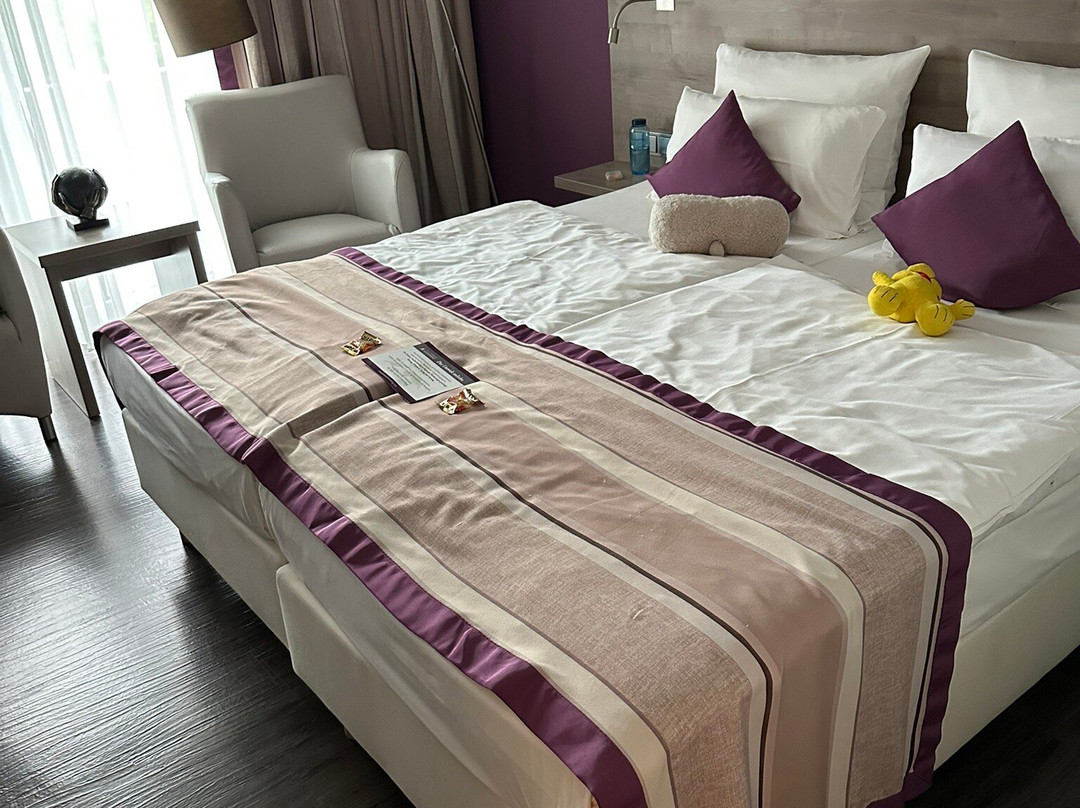 Parkhotel Sonnenberg Eltville主图