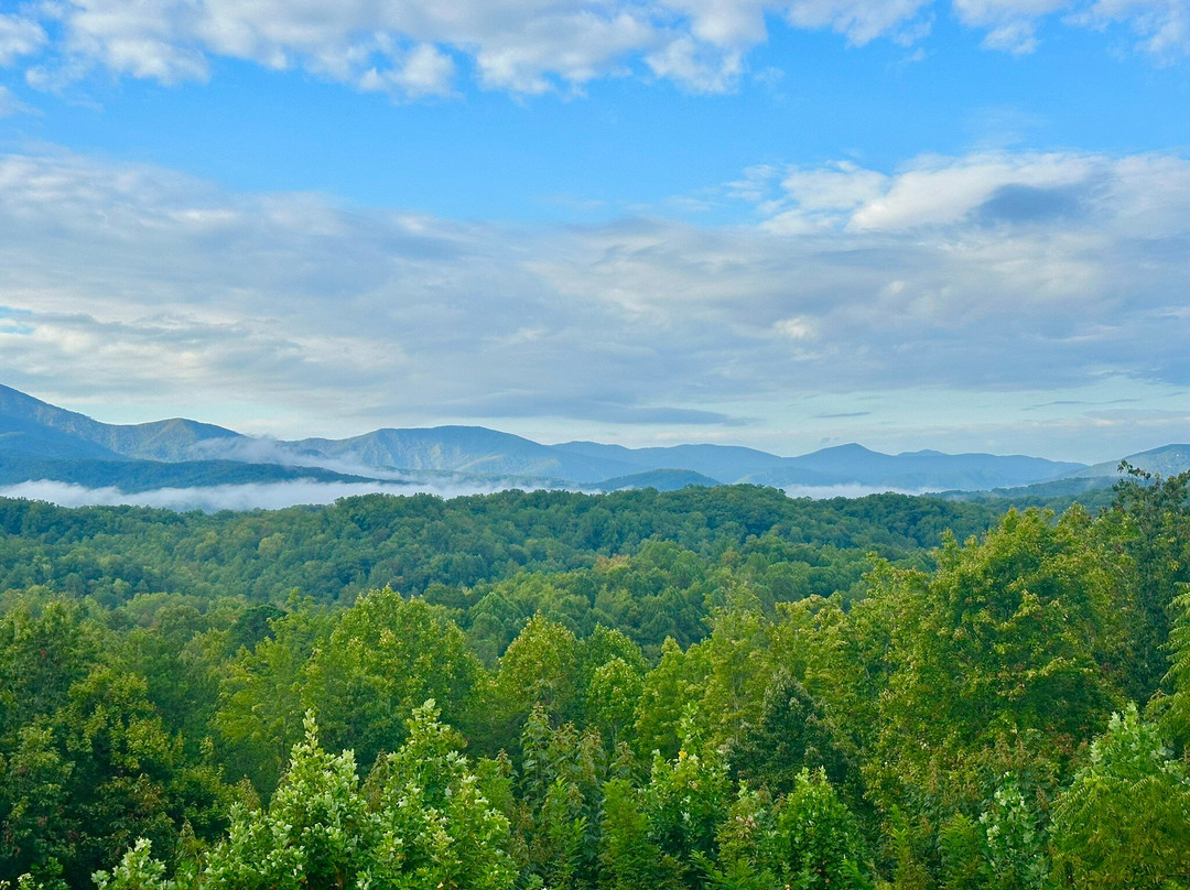 Hippensteal's Mountain View Inn主图