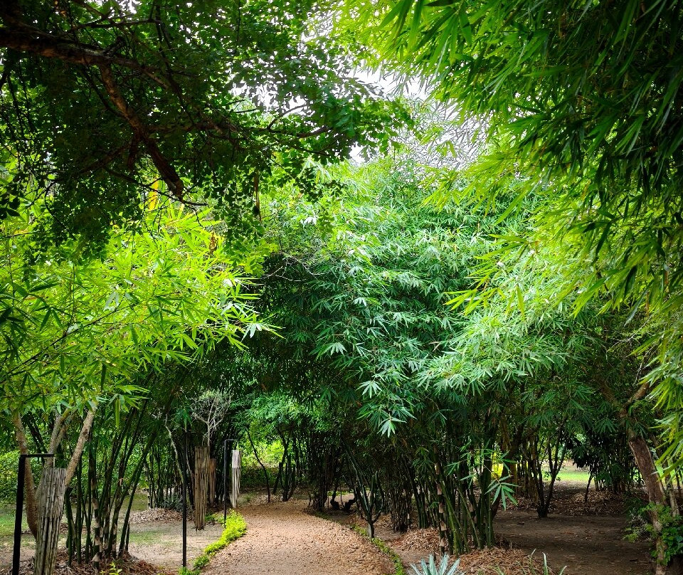 Murchison Falls Bamboo Village主图