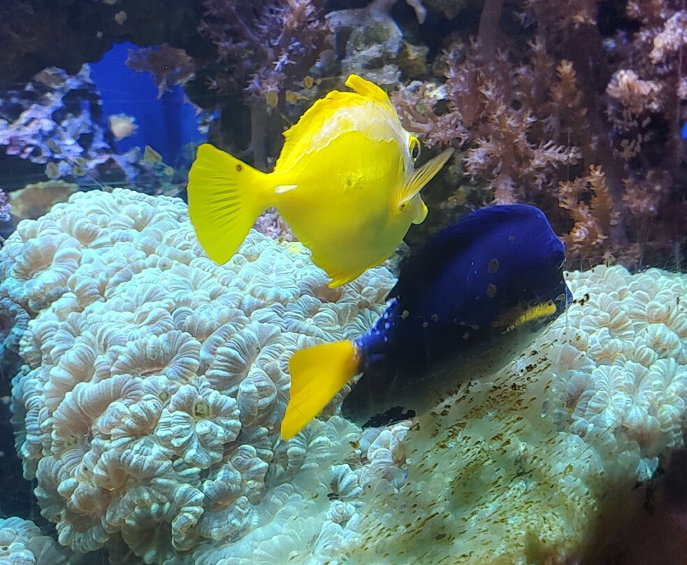 Tulsa Zoo-塔尔萨必去景点