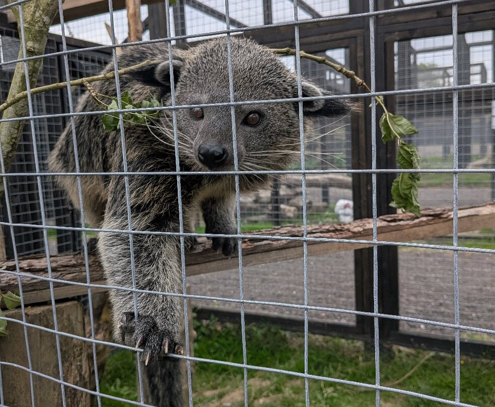 Ashlyns Wildlife Park-North Weald必去景点
