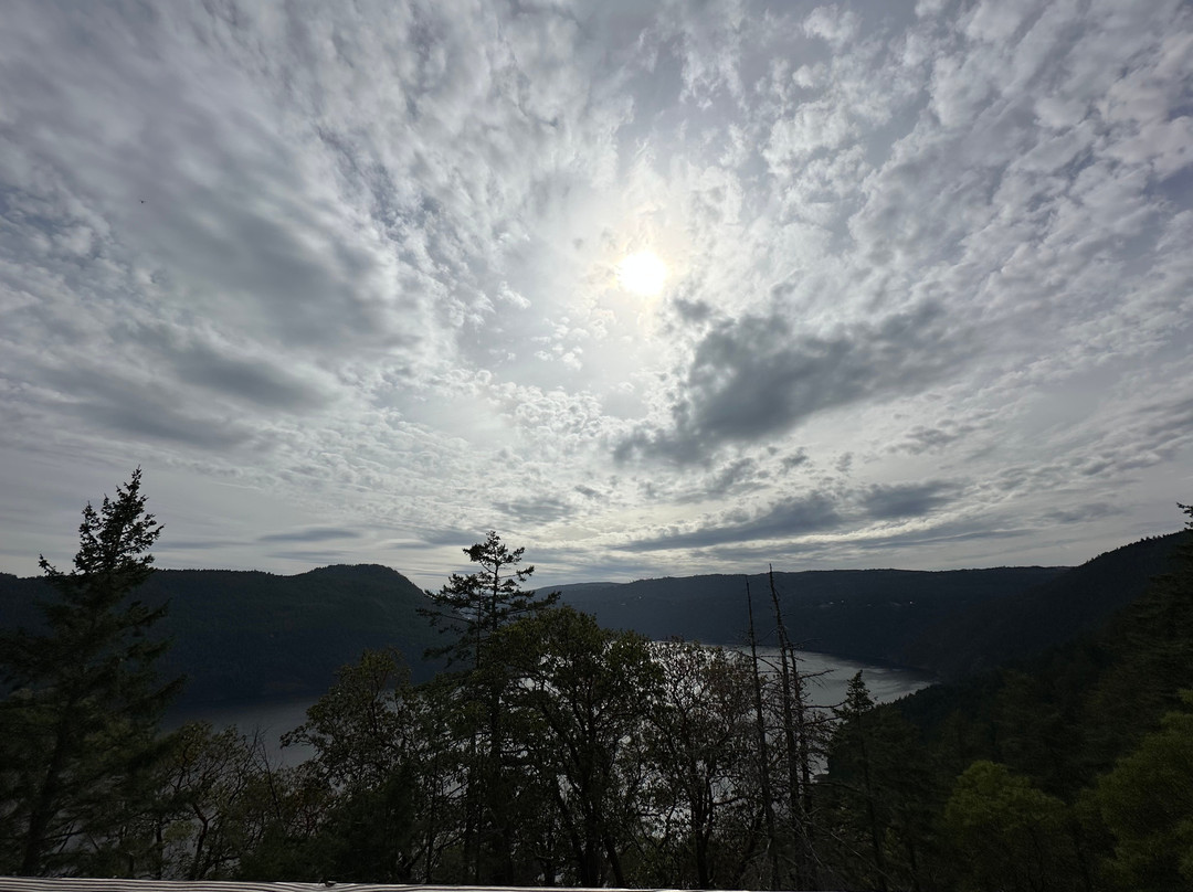 Malahat Skywalk-Malahat必去景点