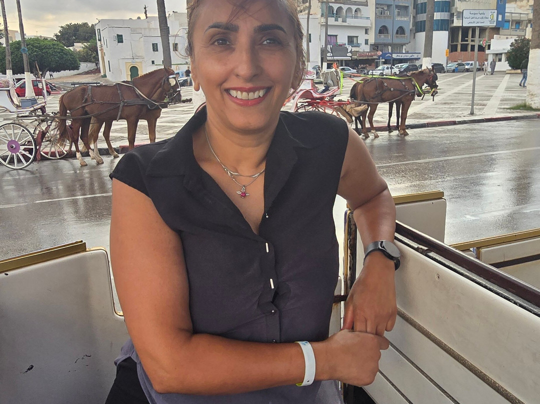 Noddy Train-康大维港必去景点