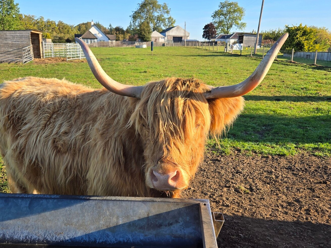 Invergordon Shore Excursions and Tours-Invergordon必去景点