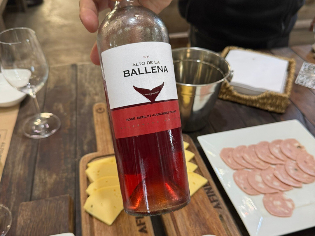 Alto de la Ballena-埃斯特角城必去景点