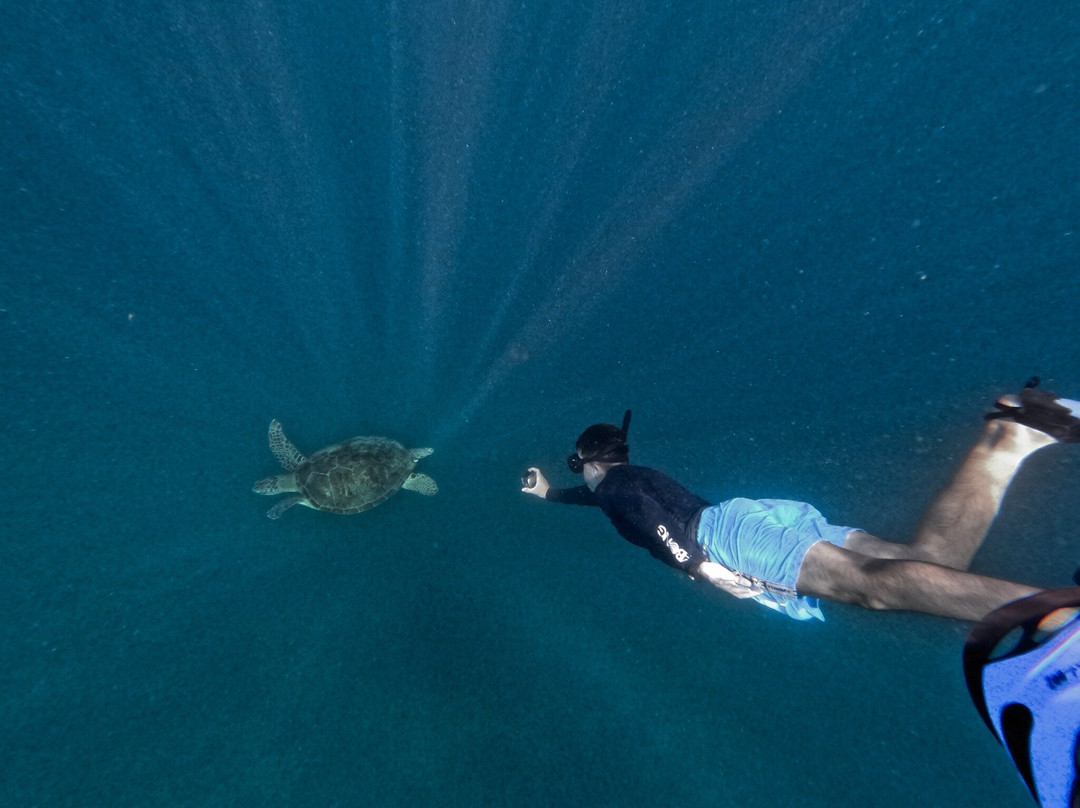 Pesona Nidera-Labuan Bajo必去景点