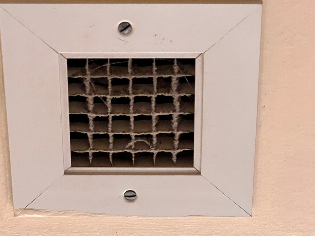 Best Western The Hotel Chequamegon主图