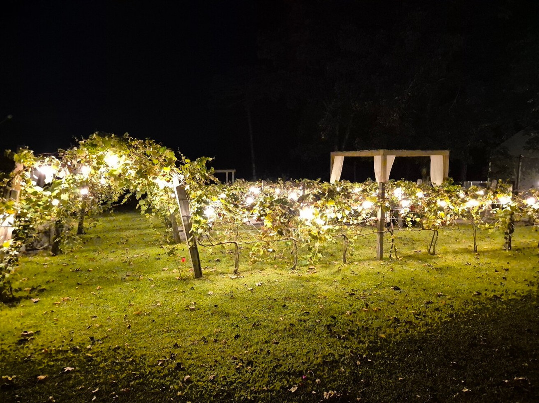 Lote20 Hotel Boutique主图