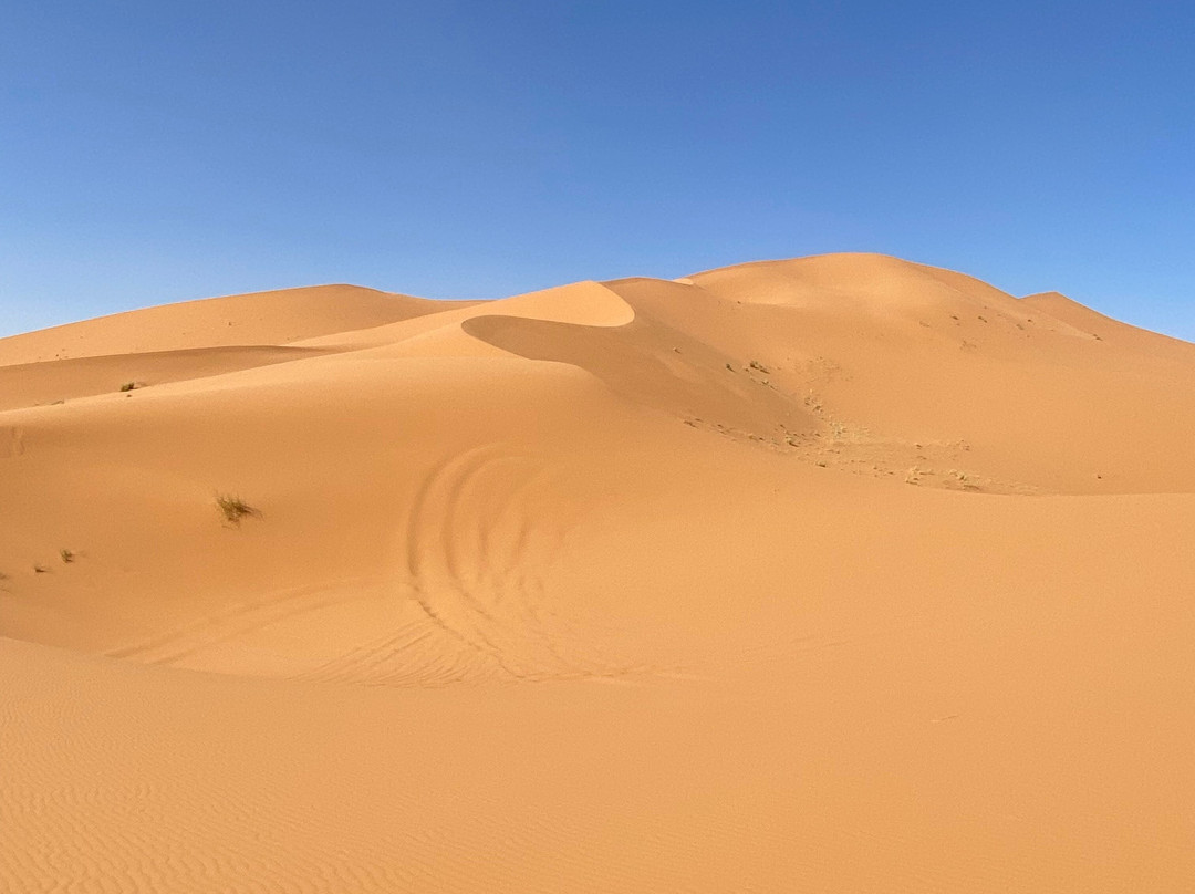 Fez Luxury Tours-非斯必去景点