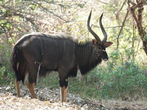 Wild Planet Safari-霍德斯普鲁特必去景点