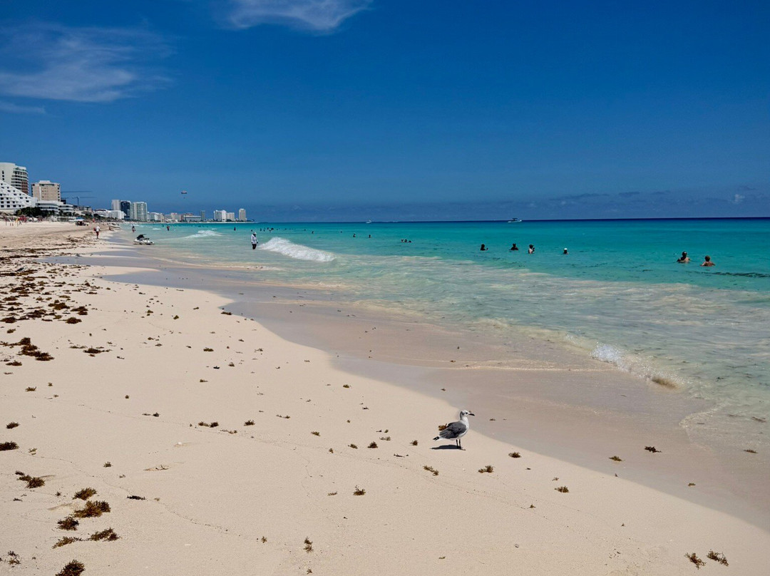 Playa Marlín-坎昆必去景点