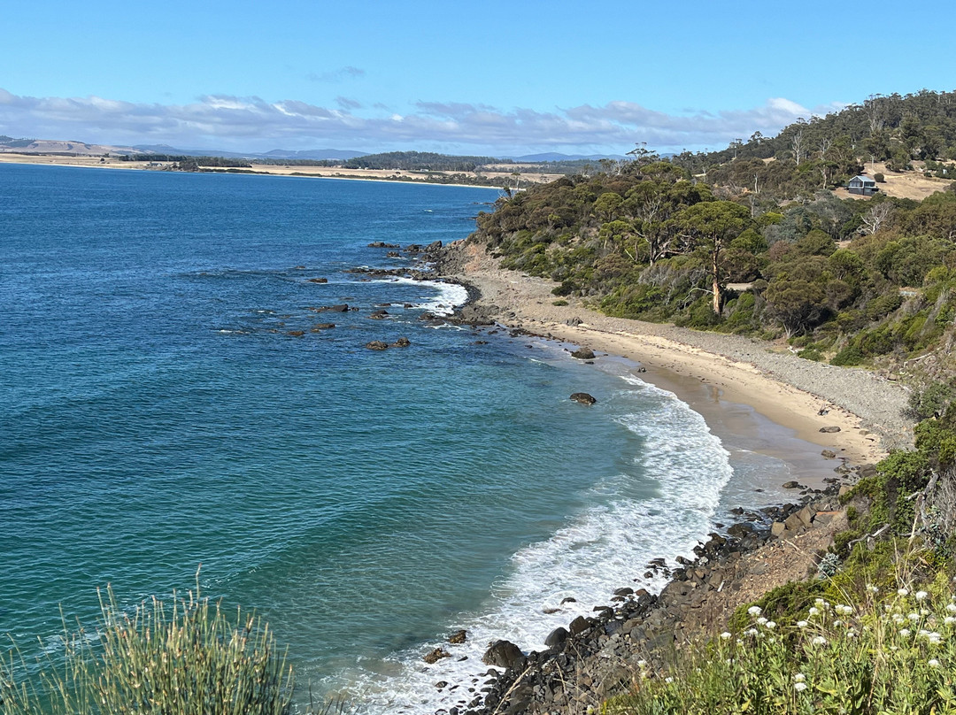 Spiky Beach Conservation Area-斯旺西必去景点
