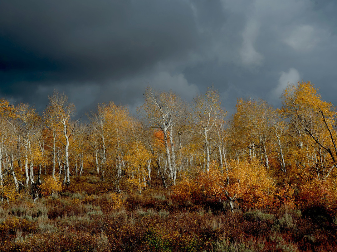 Action Photo Tours-卡纳布必去景点