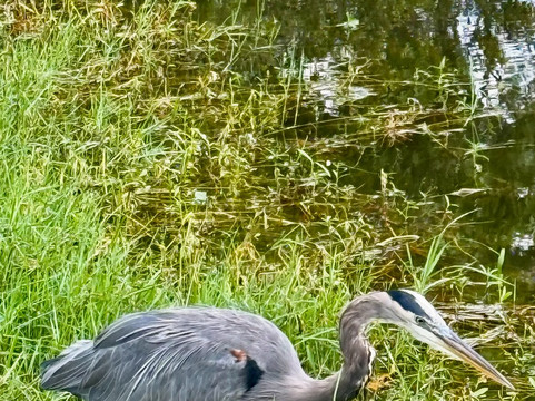 H2O Sports-希尔顿头岛必去景点