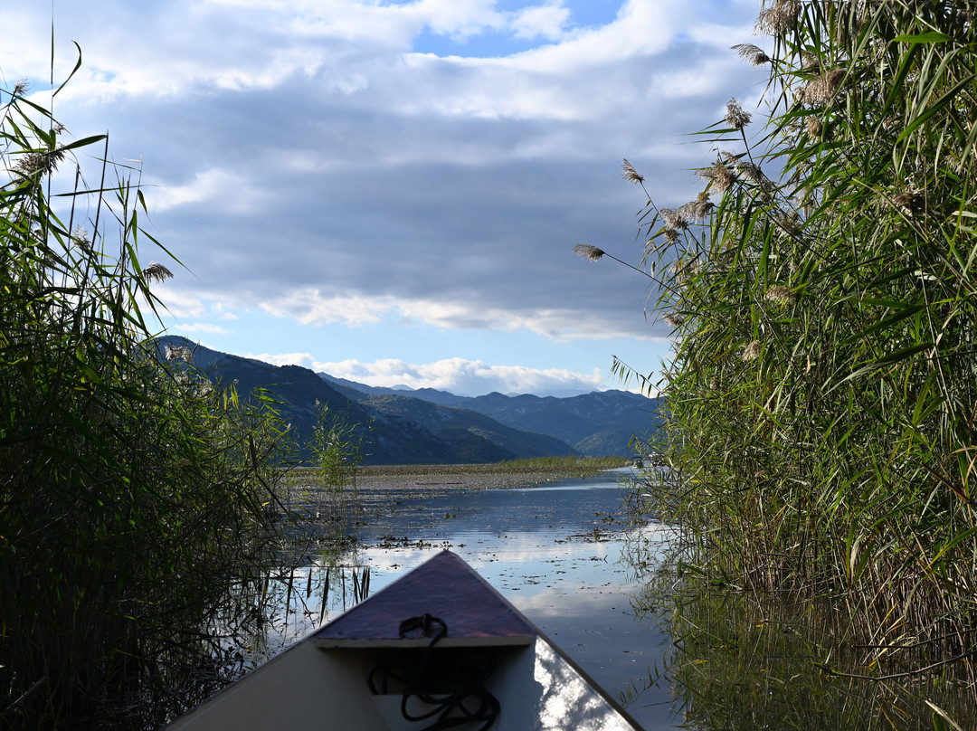 Skadar Lake - Boat Cruise Milena-维尔巴札拉必去景点