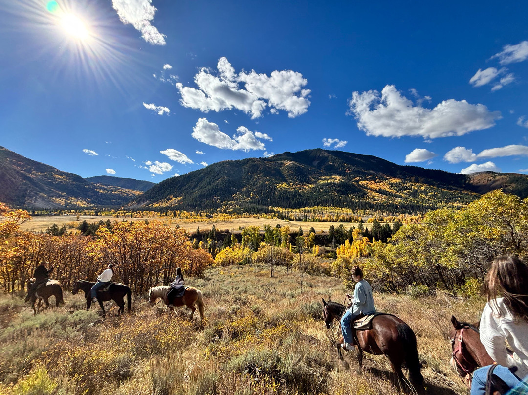 North Forty Escapes-Oakley必去景点