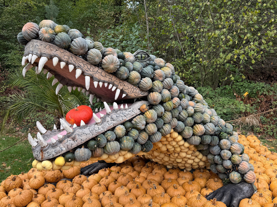 Gartenschau Bad Lippspringe-Bad Lippspringe必去景点